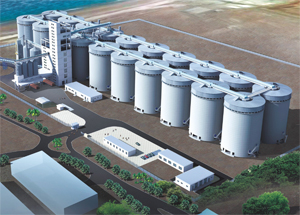 ��������ʳս�Դ�����Ŀ