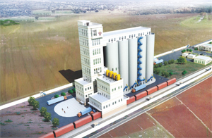 ����������������Ŀ